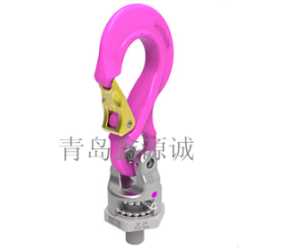 德國RUD PP-S螺栓型旋轉(zhuǎn)吊點(diǎn)/原裝吊環(huán)