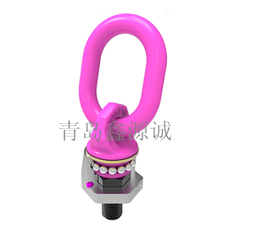 德國RUD吊環(huán)/ VWBG-V- M8-M64螺栓型旋轉(zhuǎn)吊環(huán) /進(jìn)口原裝路德/旋轉(zhuǎn)吊環(huán)